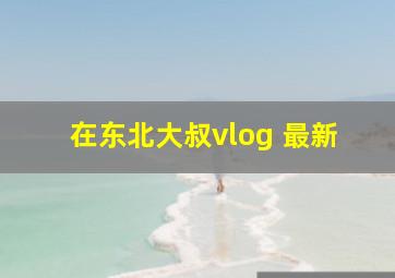 在东北大叔vlog 最新